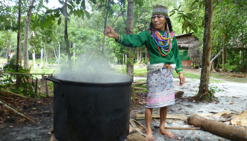 preparazione dell'ayahuasca in Perù