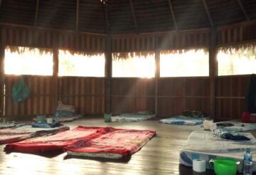 ayahuasca: uso sciamanico e contemporaneo