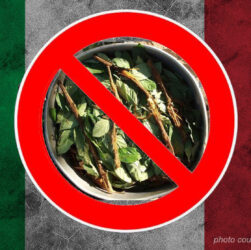 ayahuasca illegale in Italia